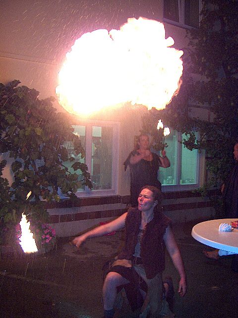 480x640 pixels (291K)