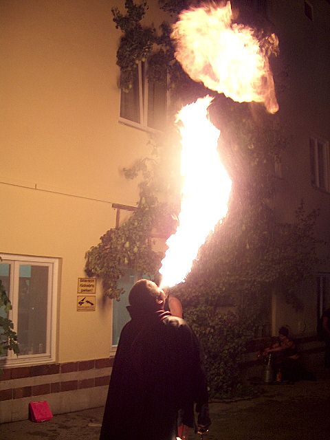 480x640 pixels (216K)