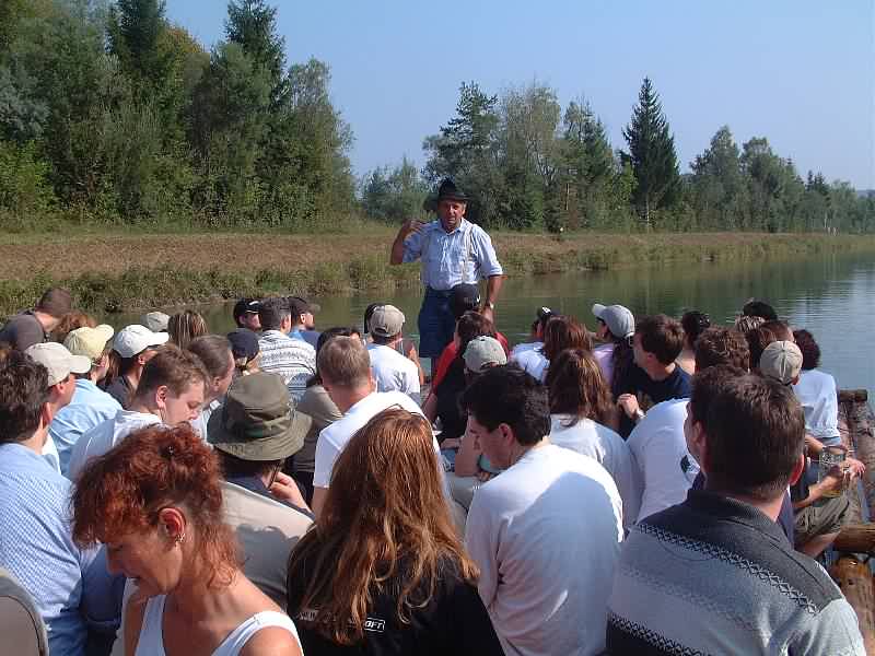 800x600 pixels (61K)