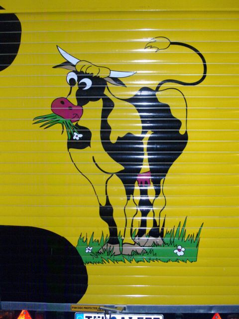 480x640 pixels (59K)