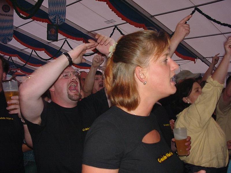 800x600 pixels (63K)