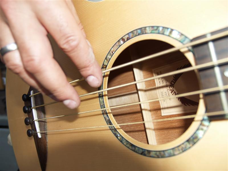 800x600 pixels (66K)